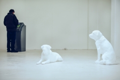 Catch | Bounce: Rebound